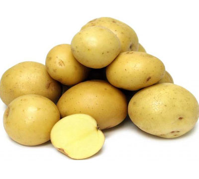 картофель сорт Гала